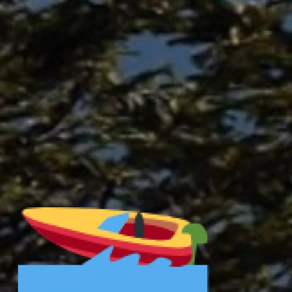 Kailasakona Waterfalls (Chittoor District)