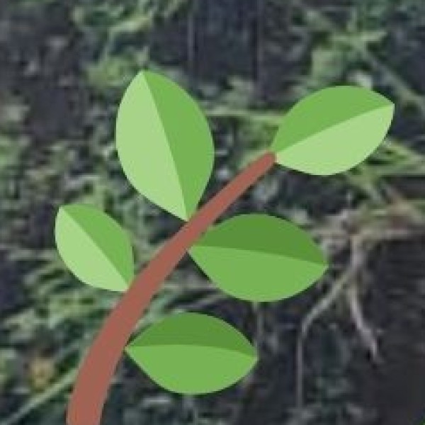 Riverfront and Water-Based Attractions in Delhi