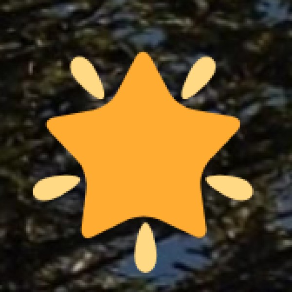 Dhebar Falls / Jaisamand Water Cascade