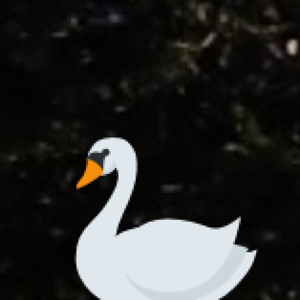 Major Rivers in Gujarat