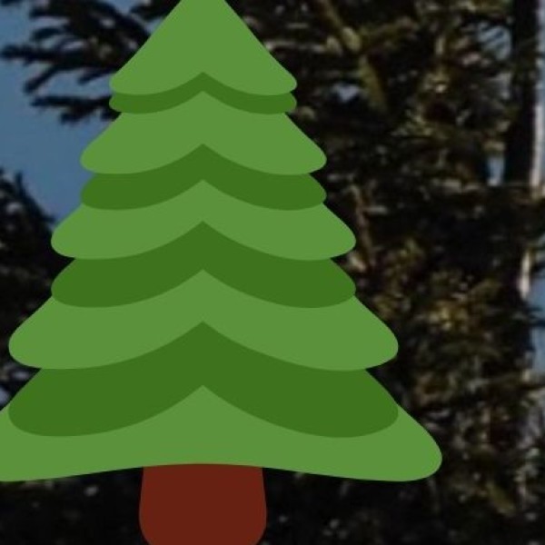 Sathodi Falls (Uttara Kannada)