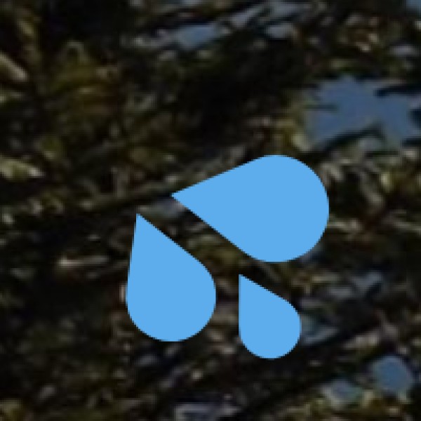 Lakkam Waterfalls – The Hidden Beauty of Munnar