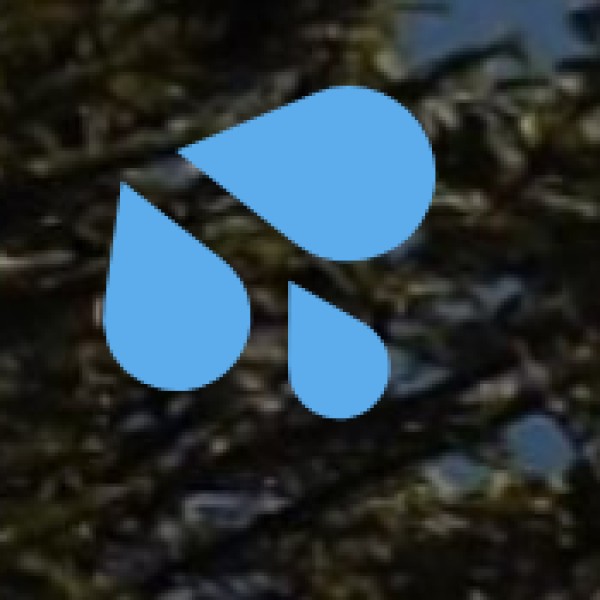 Arunachal Pradesh’s rivers and waterfalls are a vital part of its identity