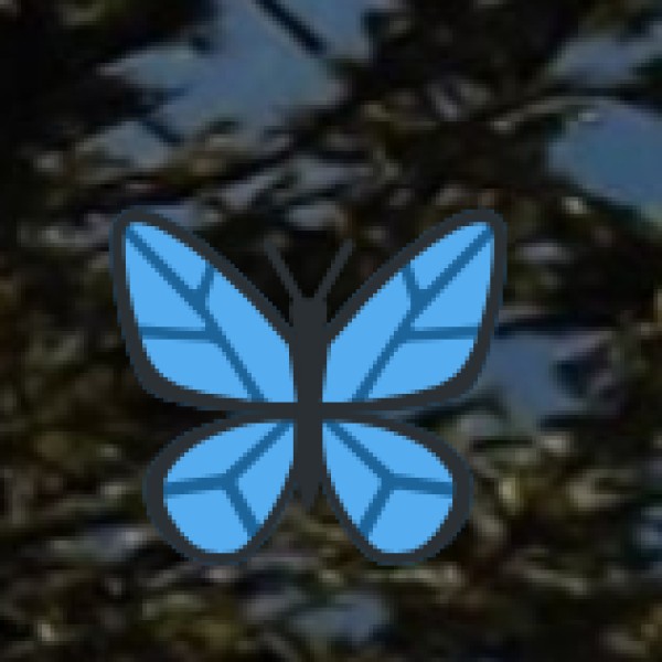 Rivers & Waterfalls in Gujarat