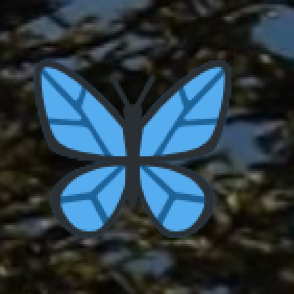 Best Time to Visit Chhattisgarh’s Waterfalls