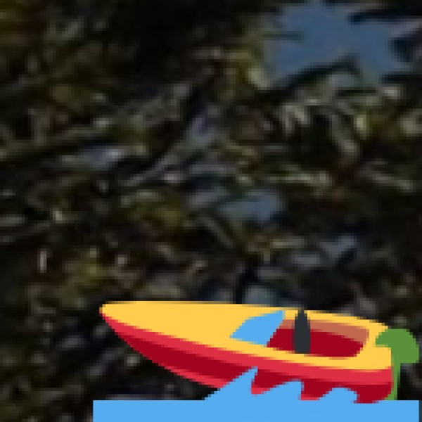 Dawki & Umngot River