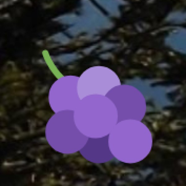 Hnahlan Vineyard