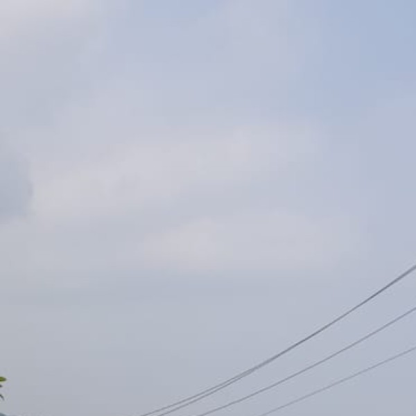Doyang River – Amur Falcon Migration Site