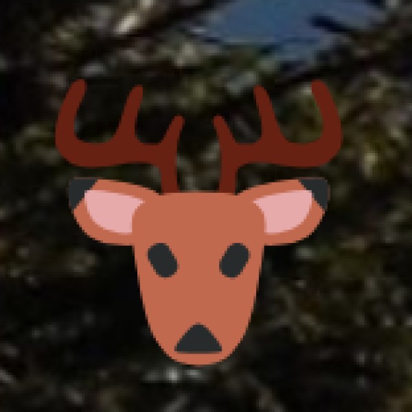 Wildlife Safari (Dachigam & Hemis National Park)