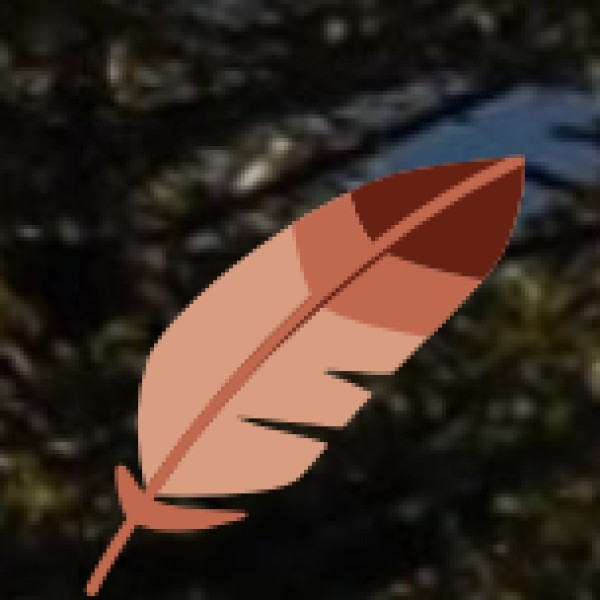 No Plastic Zones