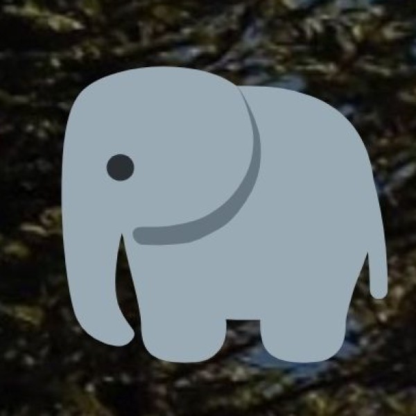 Kaziranga National Park (World Heritage Site)