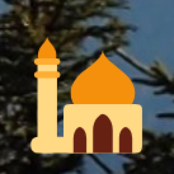 Jama Masjid & Meena Bazaar