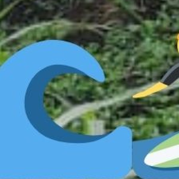 Top Beach & Coastal Searches
