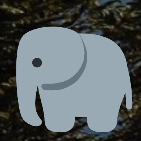 Adventure & Wildlife Experiences