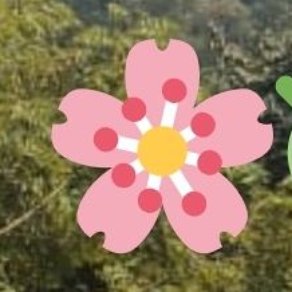 Valley of Flowers – 