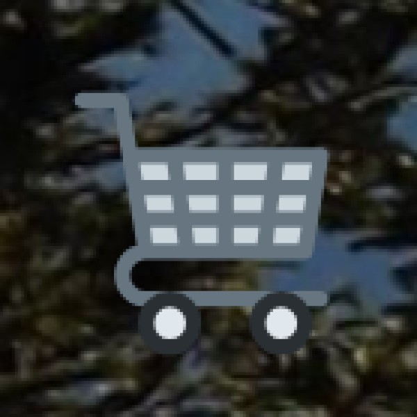Travel Logistics