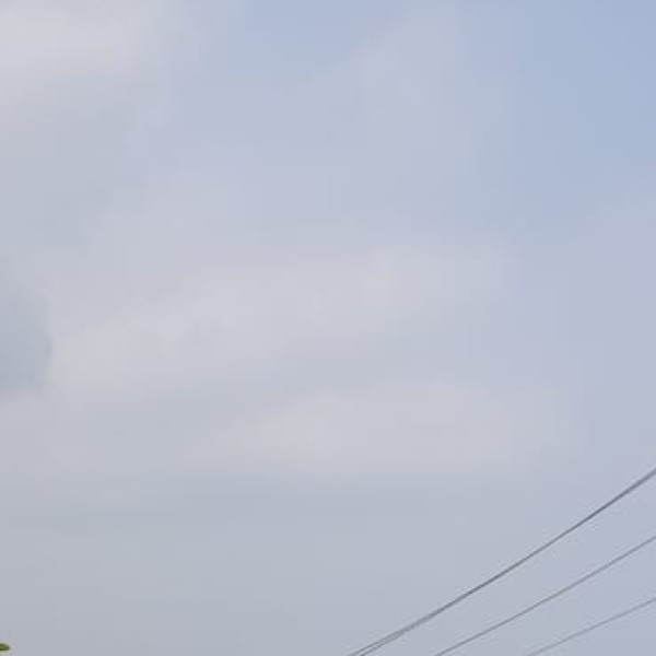 Things to Do in Goa