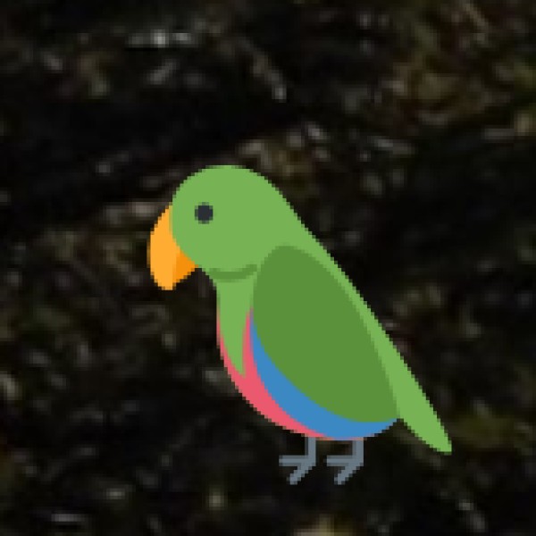 Palak Dil