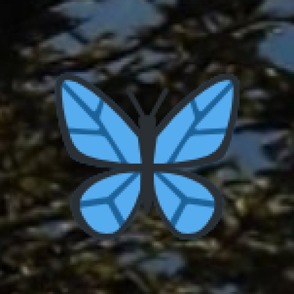 Kalaigaon – The Butterfly Paradise