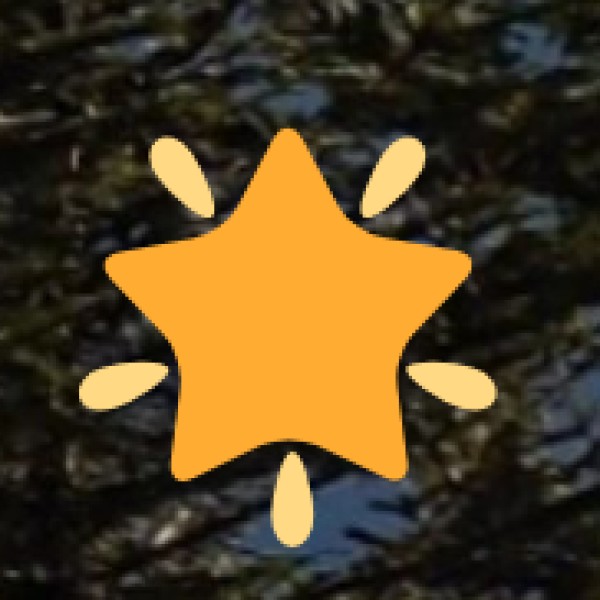 Prominent Handicrafts and Products to Buy: