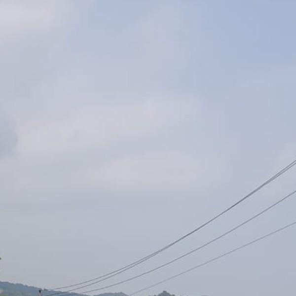 Kullu & Kinnauri Shawls – Handwoven Woolens