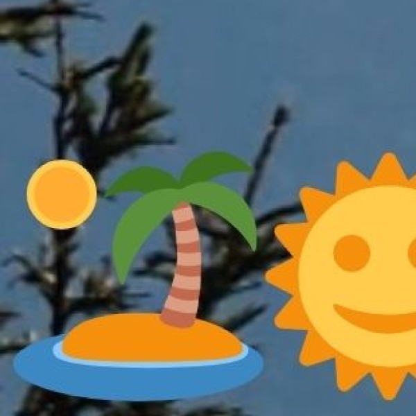 Organic Coconut Oil & Coconut-Based Products