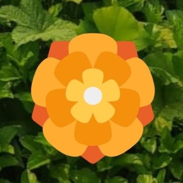 What to Keep in Mind While Shopping