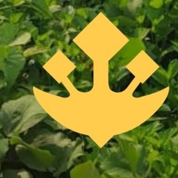 Handicrafts & Shopping