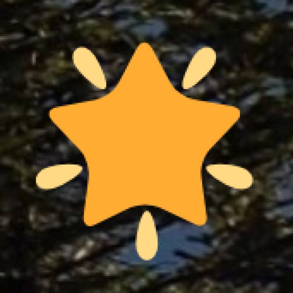 Shopping & Handicrafts in Telangana