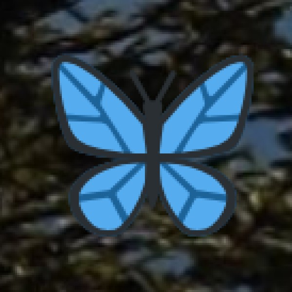 Government Support & Handicraft Promotion