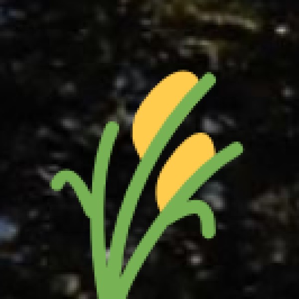 Indigenous Naga Spices & Organic Produce