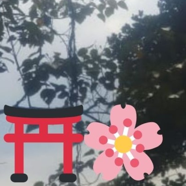 Shopping & Souvenirs in Pondicherry