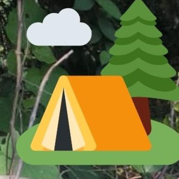 Take a Piece of Madhya Pradesh Home!