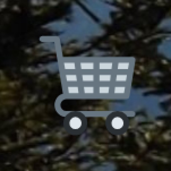 Popular Shopping Destinations