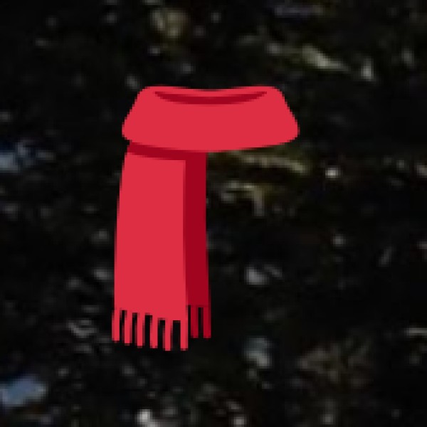 Best Woolen Items to Buy: