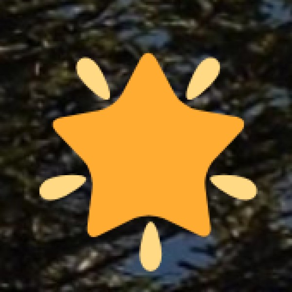 Shopping & Handicrafts in Gujarat