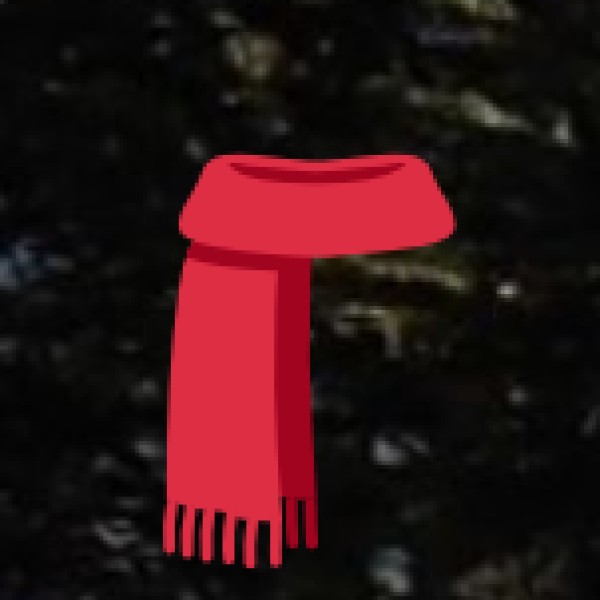 Kashmiri Embroidered Shawls & Stoles