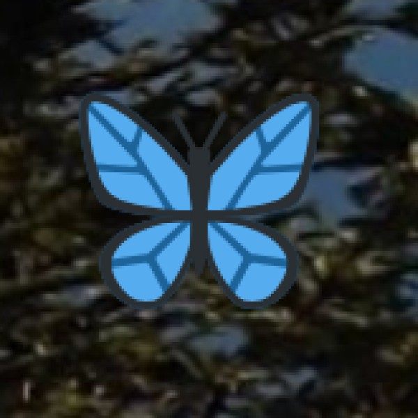 Pattachitra Paintings – Odisha’s Iconic Art