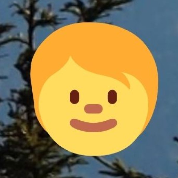 Why Shop in Arunachal Pradesh?