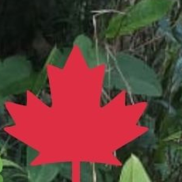 Beaded & Silver Jewelry – Authentic Tribal Accessories