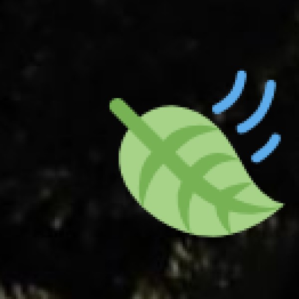 Tikuli Art