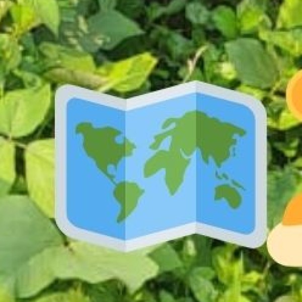 Mamallapuram Stone Sculptures