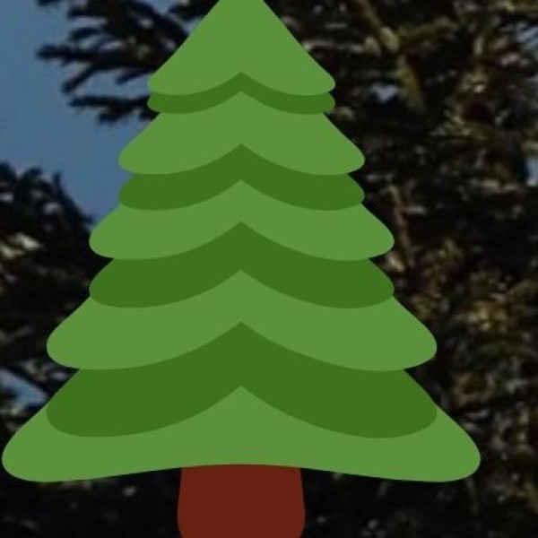 Best Places in Kerala to Buy Authentic Spices