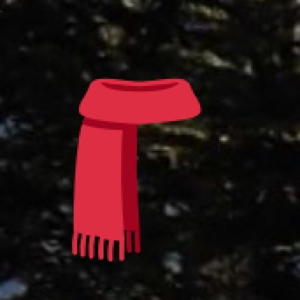 Kashmiri Carpets – Handwoven Silk & Wool Rugs