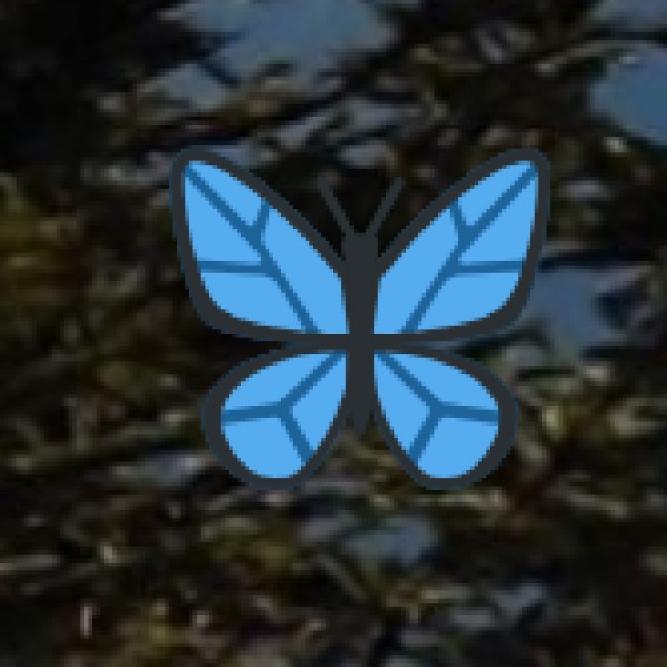 Best Shopping Spots in Pondicherry