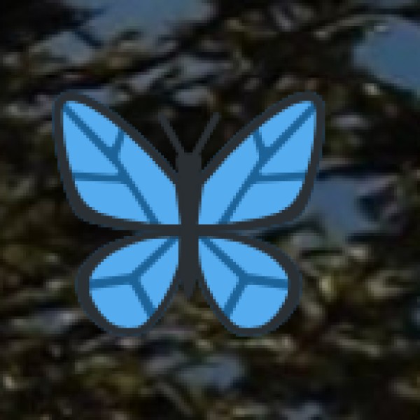 Tibetan Prayer Flags & Buddhist Art