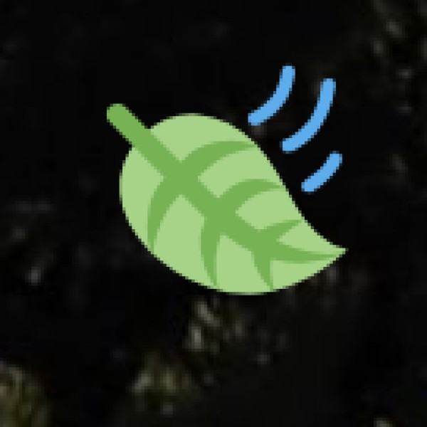 Shopping & Handicrafts in Tamil Nadu