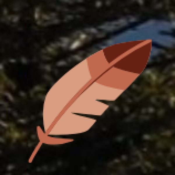 Best Shopping Places in Chhattisgarh