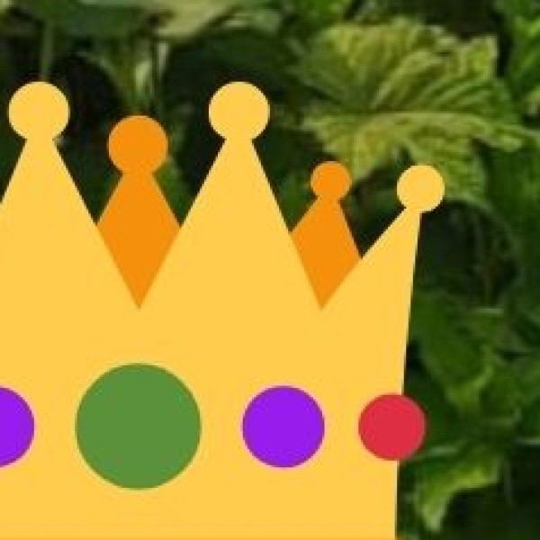 Traditional Assamese Jewelry