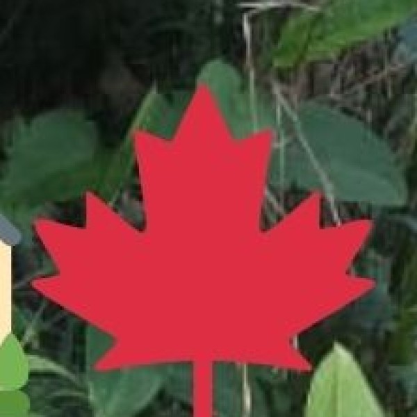 ONLINE & INTERNATIONAL REACH